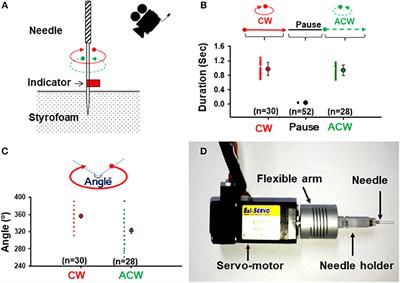 Peripheral Sensory Nerve Tissue but Not Connective Tissue Is Involved in the Action of Acupuncture